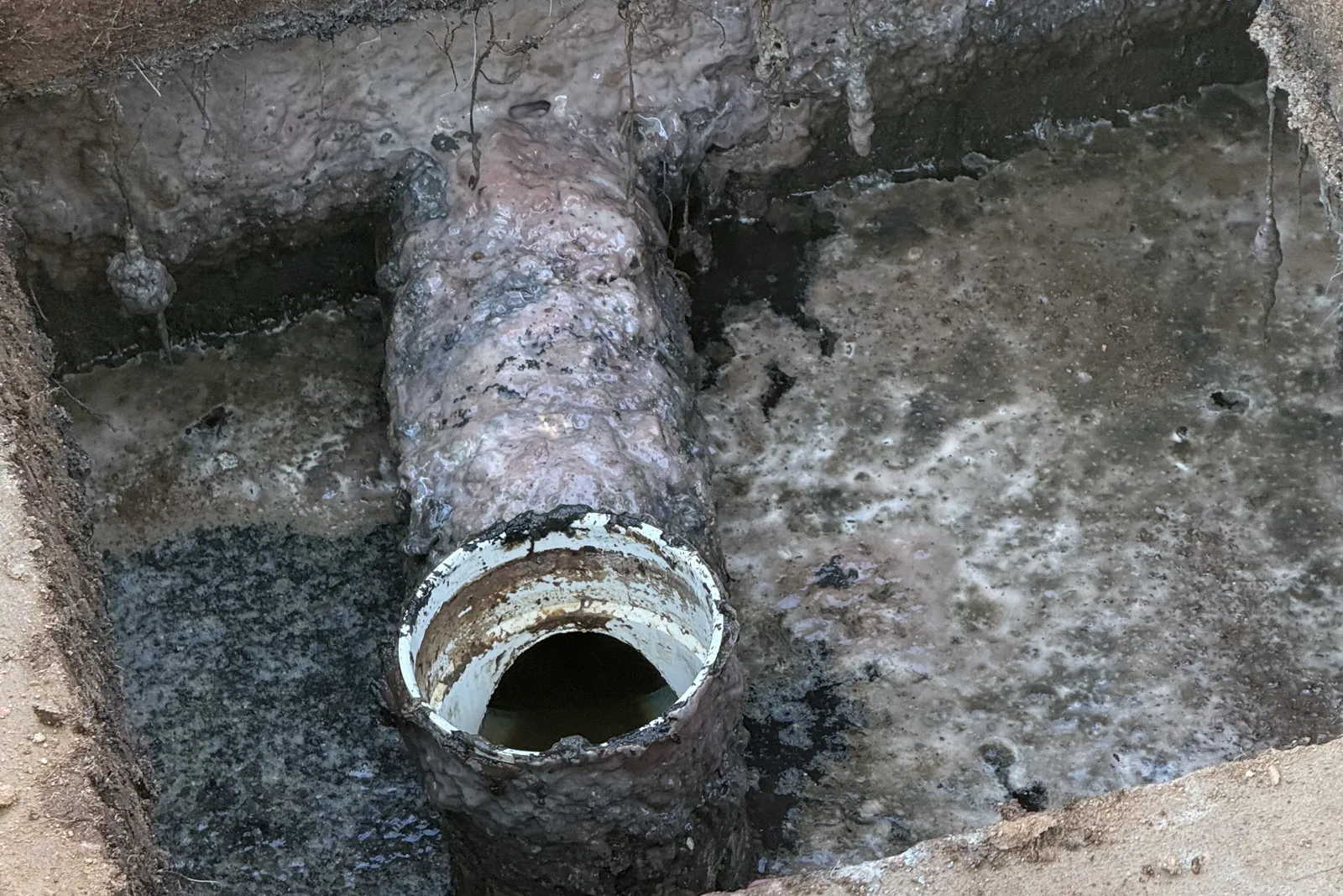 Septic tank outlet tee coated in scum before the effluent filter was installed