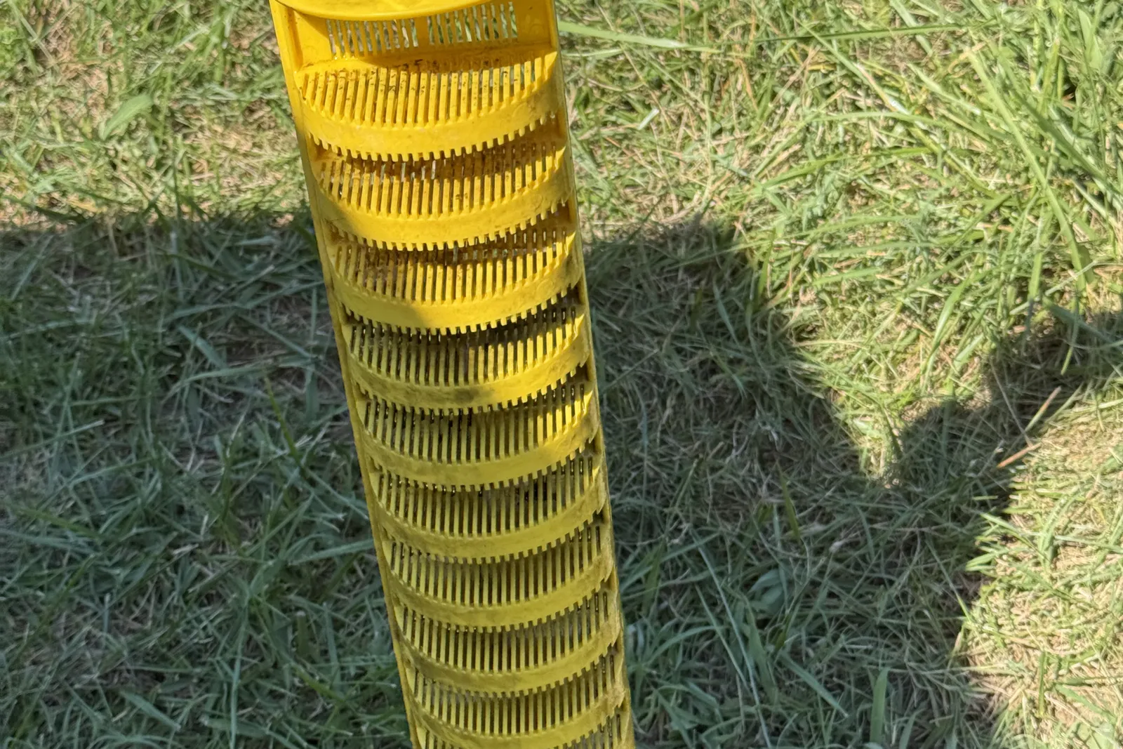 Clean yellow effluent filter held up before going back into the septic tank outlet