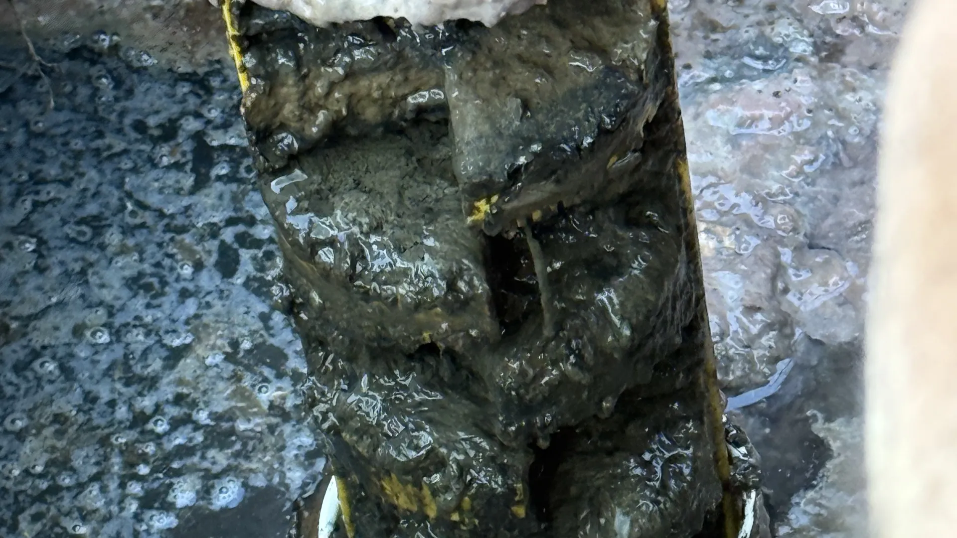 Effluent filter being lifted out of its housing during service
