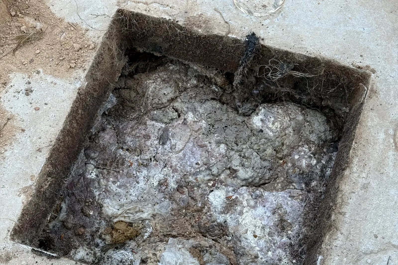 Sludge-crusted septic tank before restoration